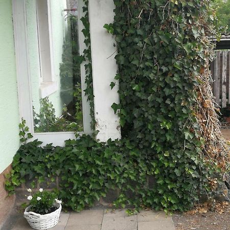 Appartement Eifel Im Haus Sybille Kelberg Exteriér fotografie