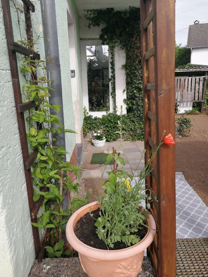 Appartement Eifel Im Haus Sybille Kelberg Exteriér fotografie
